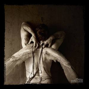 988960_750008915090599_3021597685660532699_n