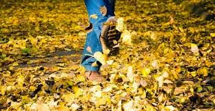 11dfa-paseo2bde2botoc3b1o