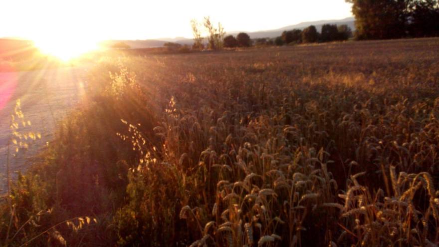 14068331_10205279343662094_1599328553135504278_o