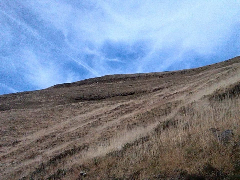 1510860_10200465392276318_571651725_n