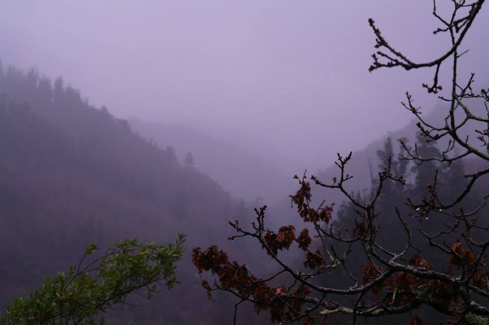 1901975_10200626577825856_1713694619_n