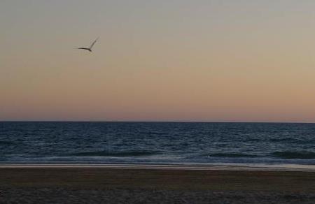 282297_3063778932433_1851364022_n