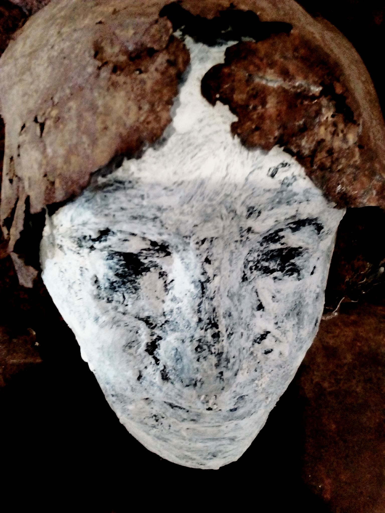 22904855_10208111645747876_603221075106960153_o